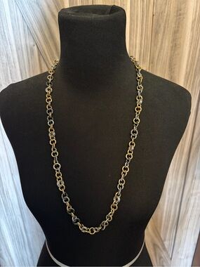 30” Mixed Metal Ann Taylor Link Necklace